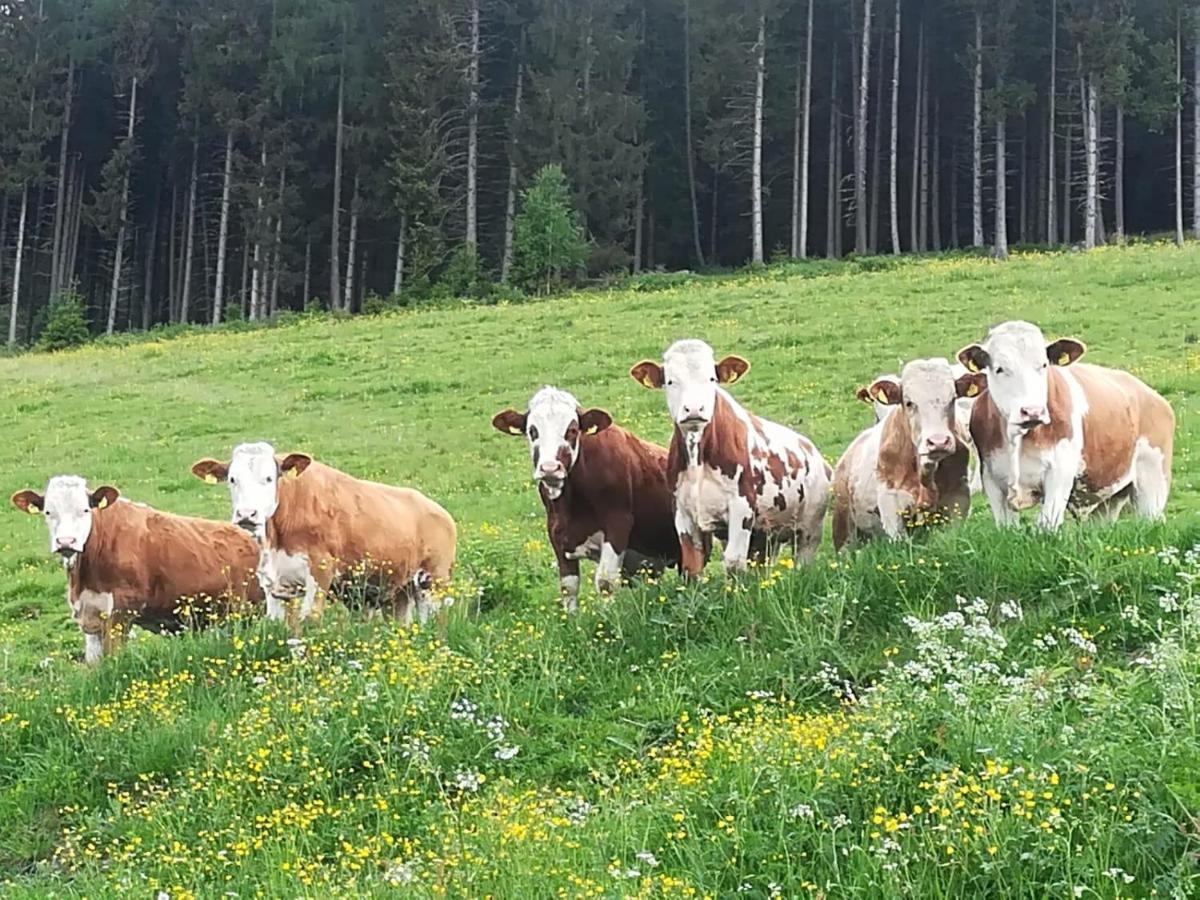 Premiumalmhuette Wiedhupf Peterdorf Exteriör bild
