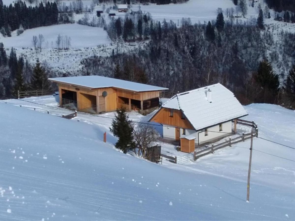 Premiumalmhuette Wiedhupf Peterdorf Exteriör bild