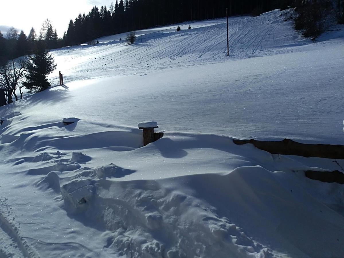 Premiumalmhuette Wiedhupf Peterdorf Exteriör bild